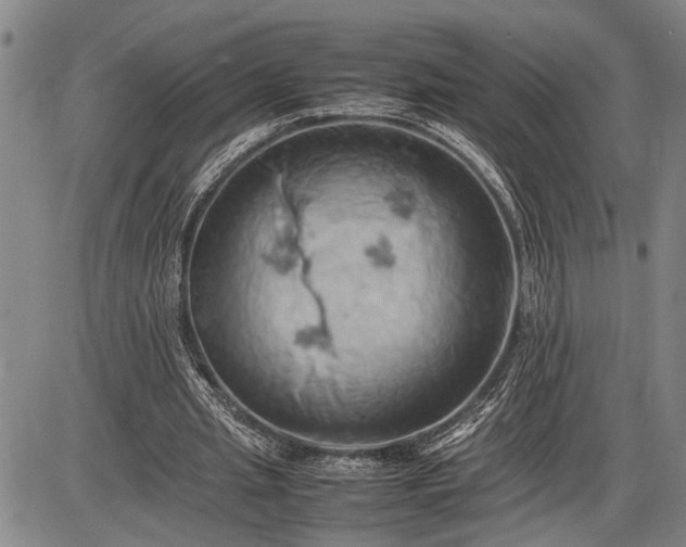 X0000085750437200703301406