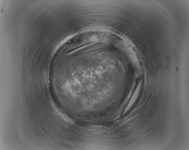 X0000085750438200703301406