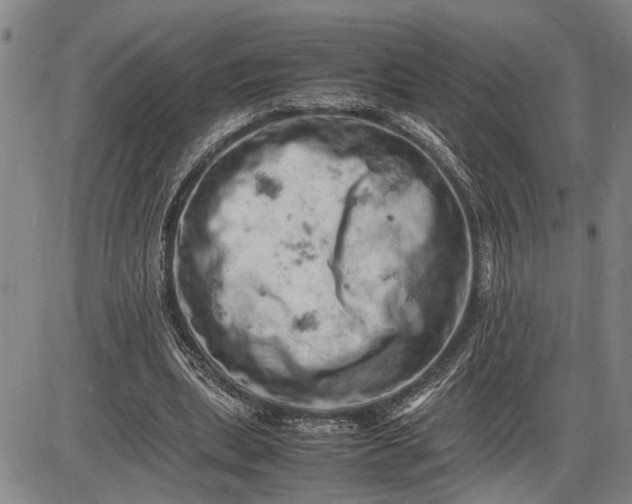 X0000085750439200703301406