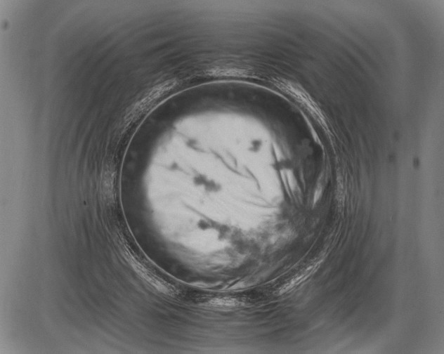 X0000085750441200703301406