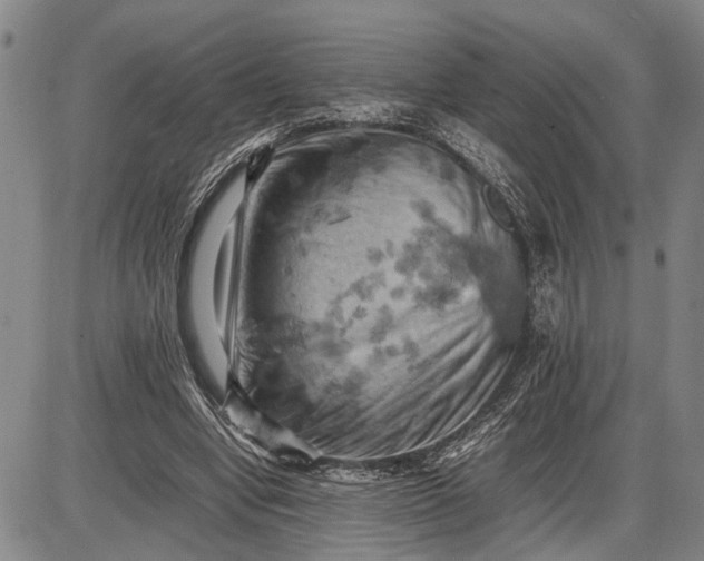 X0000085750442200703301406