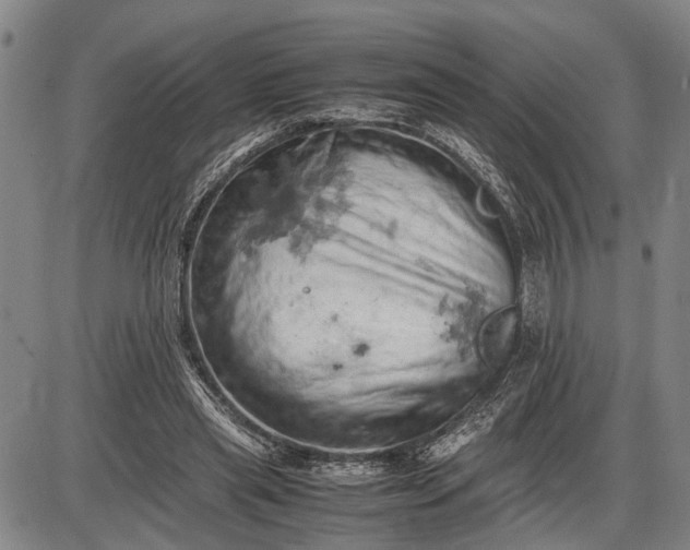 X0000085750445200703301406