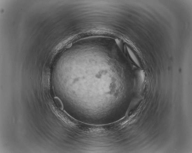 X0000085750446200703301406