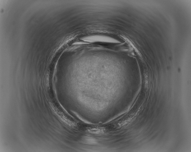 X0000085750447200703301406