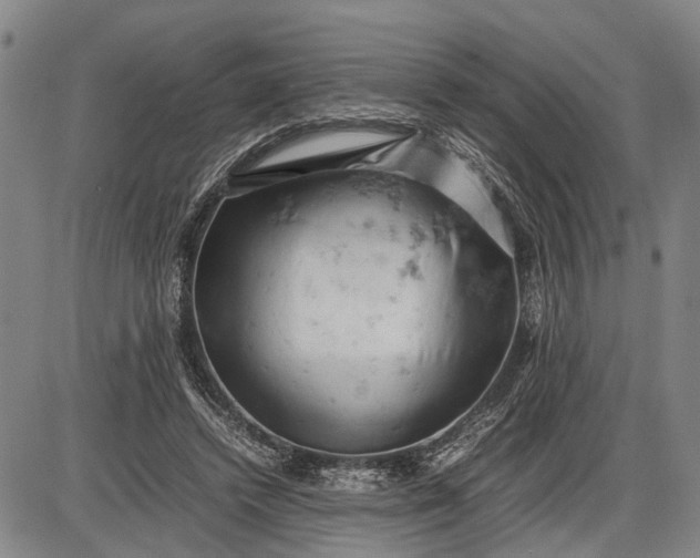 X0000085750448200703301406