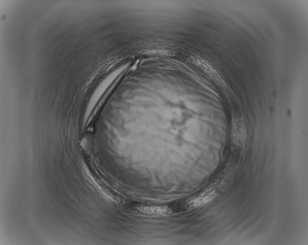 X0000085750449200703301406