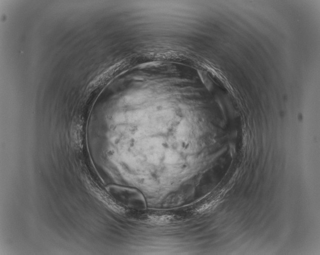 X0000085750450200703301406