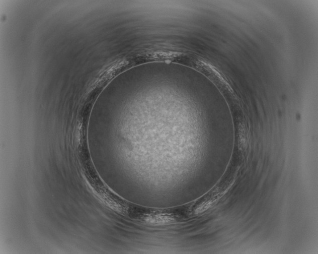 X0000085750451200703301406