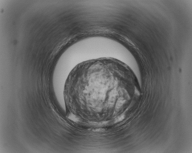 X0000085750452200703301406