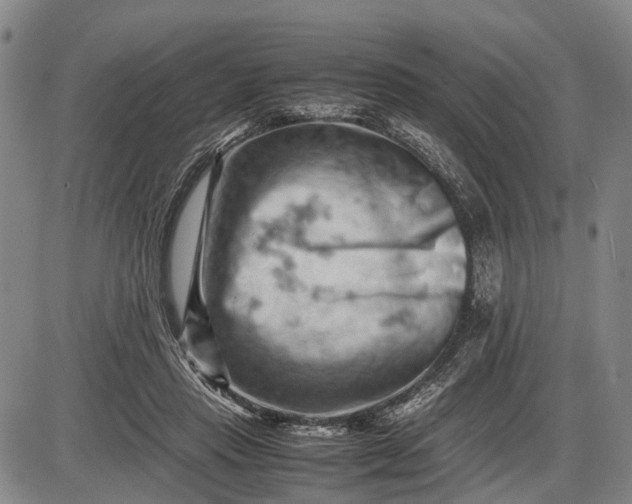 X0000085750453200703301407