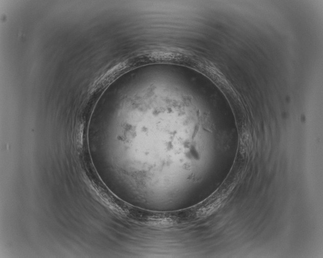 X0000085750454200703301407