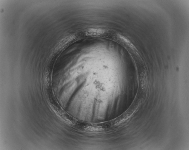 X0000085750455200703301407