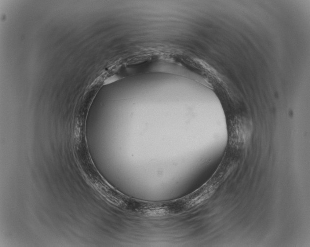 X0000085750456200703301407