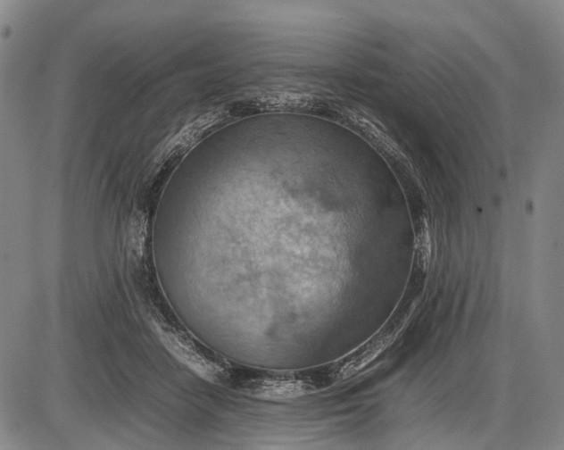 X0000085750458200703301407