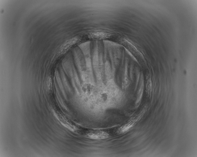 X0000085750459200703301407