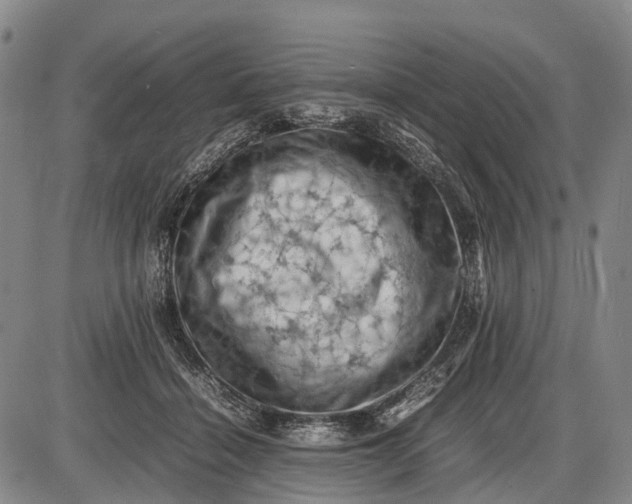 X0000085750460200703301407