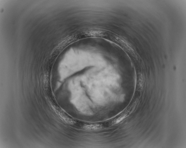 X0000085750461200703301407