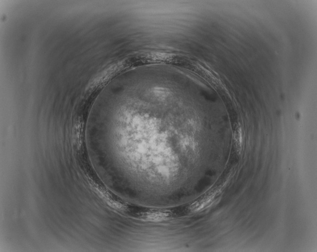 X0000085750462200703301407