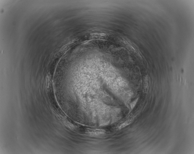 X0000085750463200703301407