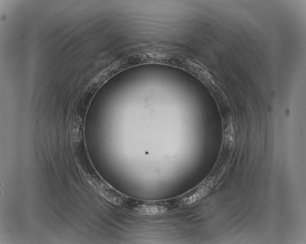 X0000085750464200703301407