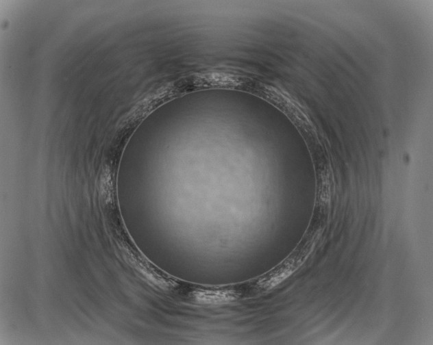 X0000085750465200703301407