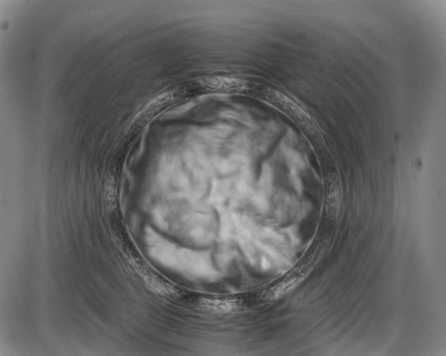 X0000085750469200703301407