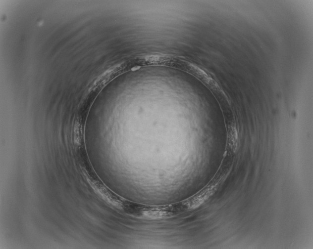 X0000085750470200703301407