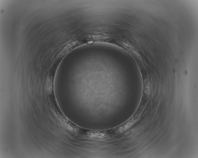 X0000085750471200703301407