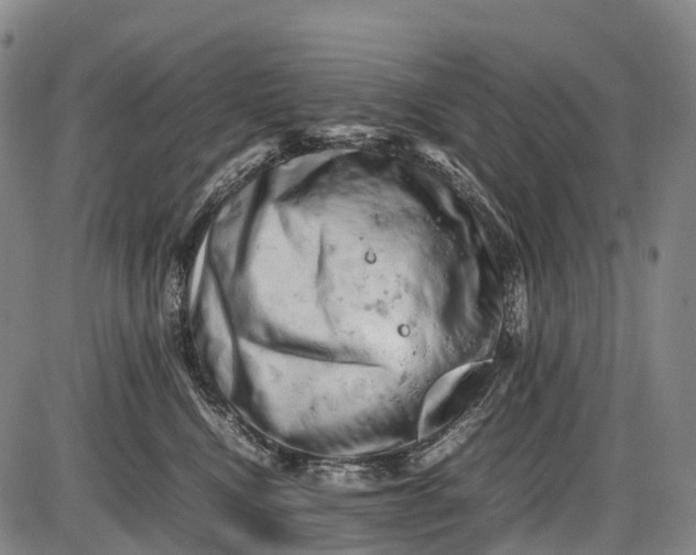 X0000085750472200703301407