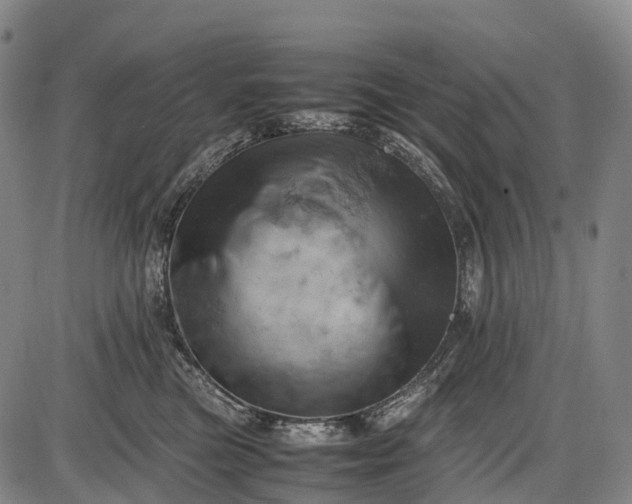 X0000085750473200703301407