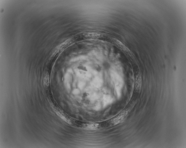 X0000085750474200703301407