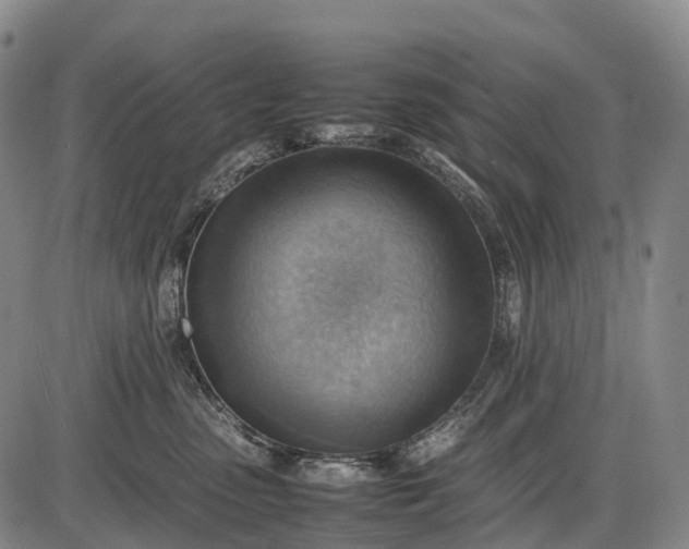 X0000085750475200703301407