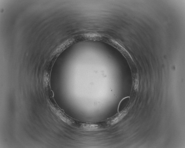 X0000085750476200703301407