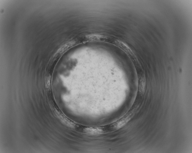 X0000085750477200703301407