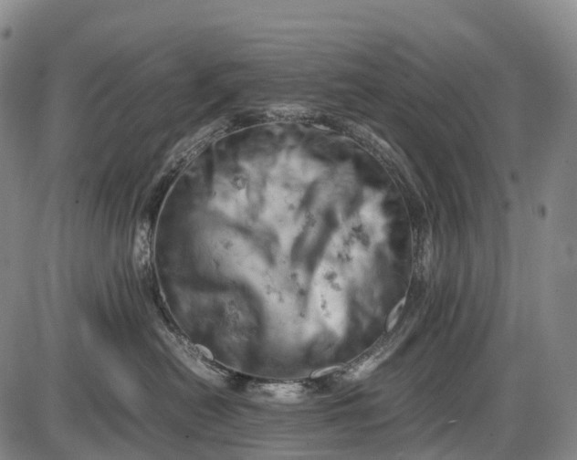 X0000085750478200703301407