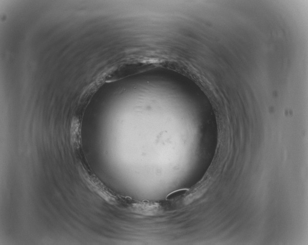 X0000085750480200703301407