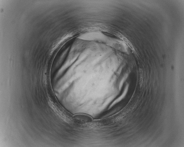 X0000085750482200703301406