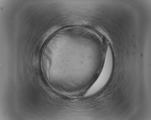 X0000085750483200703301406