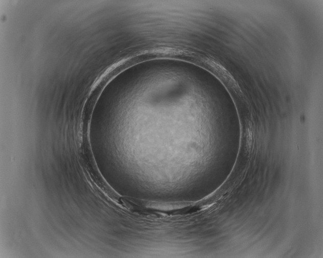 X0000085750484200703301406