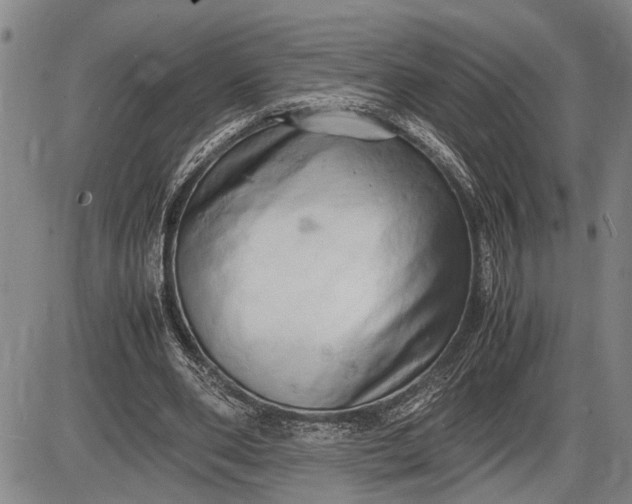 X0000085750486200703301406