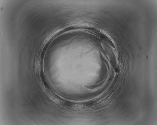 X0000085750487200703301406