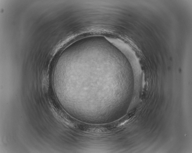 X0000085750488200703301406