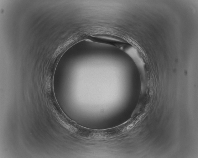 X0000085750489200703301406