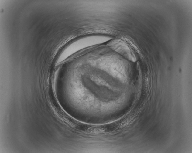 X0000085750491200703301406