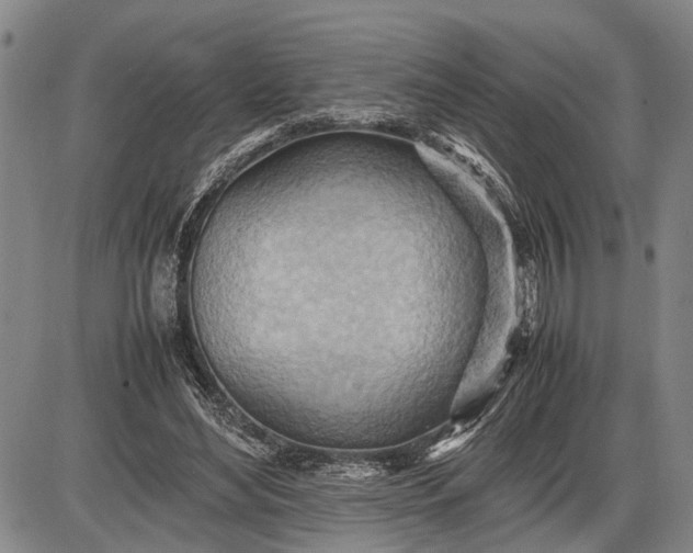 X0000085750492200703301406