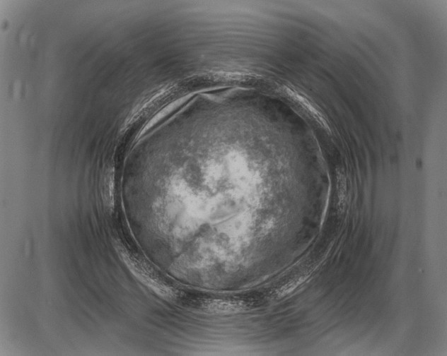 X0000085750494200703301406