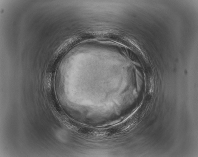 X0000085750495200703301406