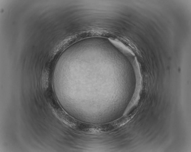 X0000085750496200703301406