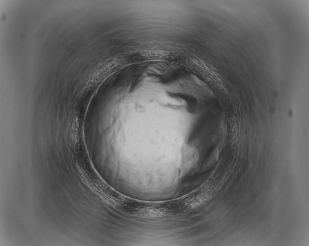 X0000085750498200703301406