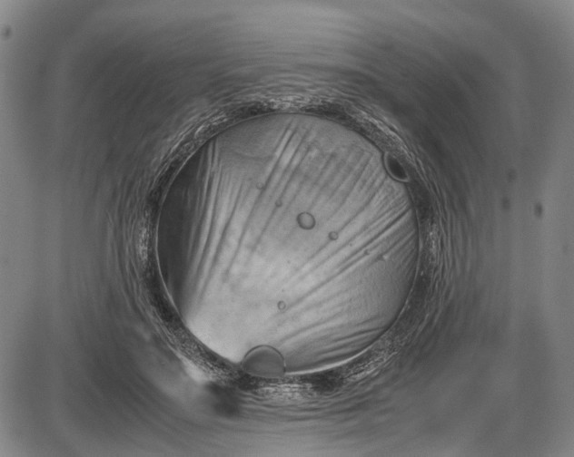 X0000085750499200703301406